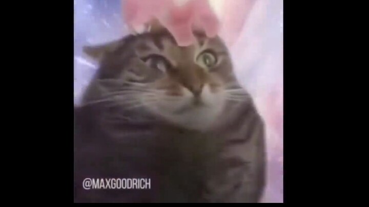 ฟังแล้ว บรรลุธรรม