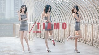 【沫沫】❤️你的春日心动❤️Tiamo-tara翻跳