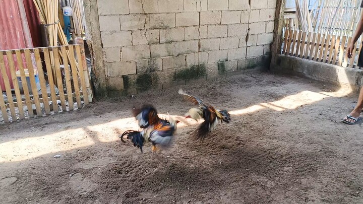 Sweater grey vs. all in grey