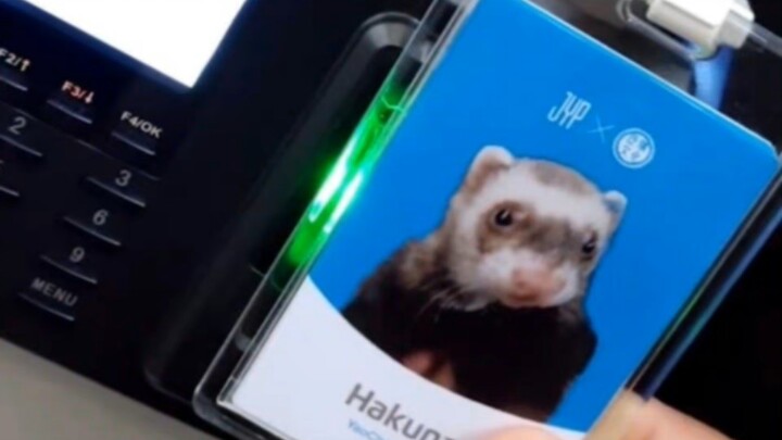 معلومة طريفة: دُبّل يAO تشين Hakuna يحمل بطاقة موظف رسمية من JYP!