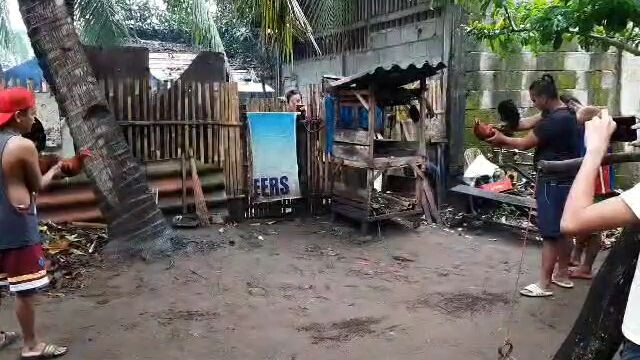 1st fight win kuba manok natin mga par‼️