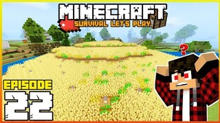 Wheat Fields | Minecraft Survival Let's Play | Episode 22