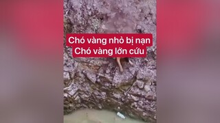 Clip 4M view . Cảm xúc dâng trào. Nhiều đứa sống thua con Ch.ó . Thằng chồng bỏ rơi giọt máu của nó để theo gái. Bao nhiêu năm qua ko 1 đồng chu cấp , ko 1 lời hỏi thăm. Hận ko???  onhavanvui yeuchome
