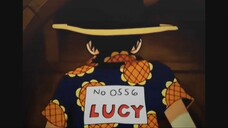 LUCYY ONEPIECE