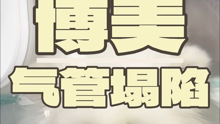 Can we defeat BLEACH again using the same tactics?