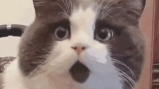 So this is what the green light in the night sky really is!