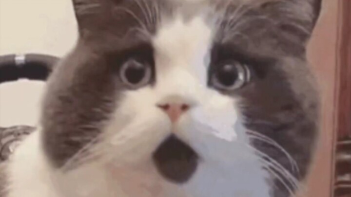 So this is what the green light in the night sky really is!