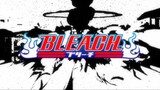 Bleach (Eng Dub) Episode 276
