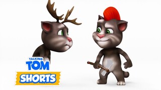 Round 1 🤓👨‍🎤🤣 | Talking Tom Shorts: Season 1 Episode 6