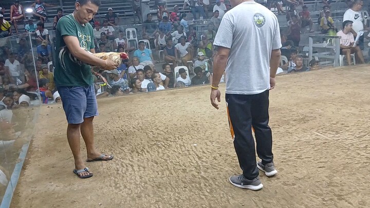 talo ang 1x winner ko