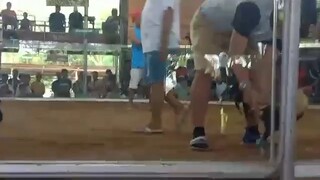 duke hulsey win one hit
