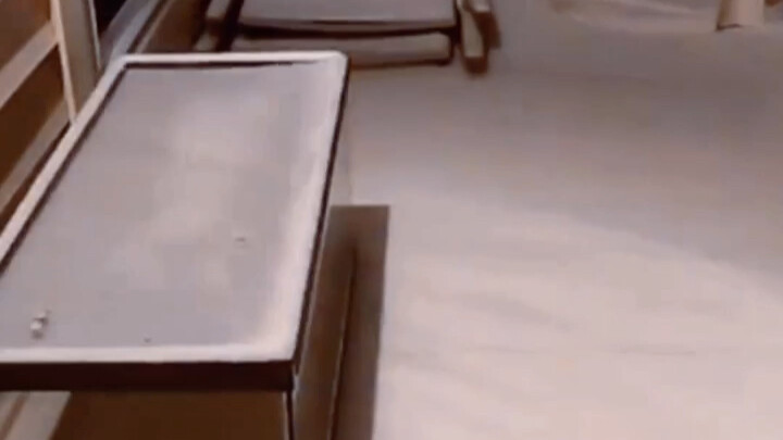 Penghargaan Salju Pertama: Kegembiraan Anjing