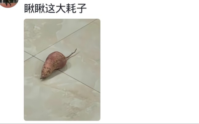 Những khoảnh khắc khó xử của người bị cận thị