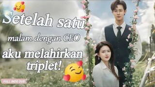 setelah satu malam dengan CEO aku melahirkan 3 anak kembar