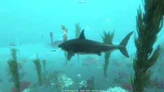 Alpha Shark | GamePlay PC