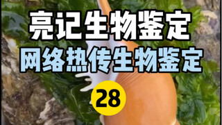 【การทดสอบทางชีวภาพของ Liangji】การทดสอบทางชีวภาพทางอินเทอร์เน็ตยอดนิยม 28
