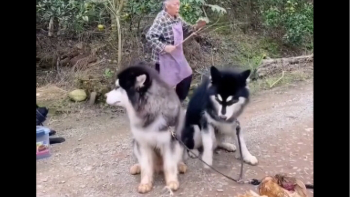 I thought they were here to deliver food, but it turned out they’d come to collect a debt.