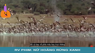 Review phim: Nữ Hoàng Rừng Xanh - Part 3#phimhay#reviewphim