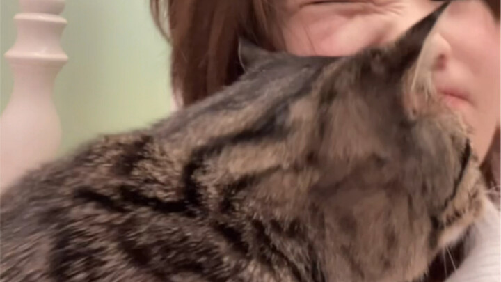 Here’s a much more intense “cat sucking on a human” video—this suffocating love is just too much for