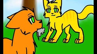 Cinderpelt AMV [If I could change my ways] *OLD* (CW: Flash) (By ProbablyAWitch)