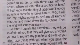 Daily Verse.                  Exodus 3:21-22