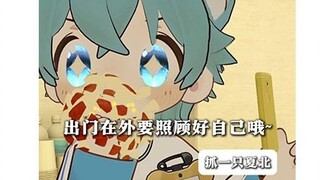 【抓一只夏北】出门在外第一步，吃好每一顿早餐，午餐，晚餐。