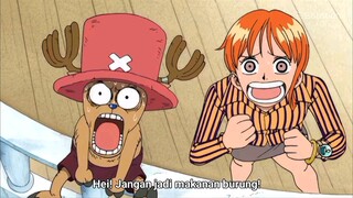 luffy jadi makanan burung🥲