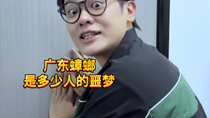 【Cậu bé nghịch ngợm KC】Người Quảng Đông phức tạp đến mức nào bên trong?