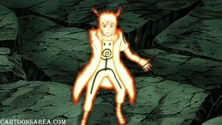 NARUTO SHIPPUDEN SHORTS