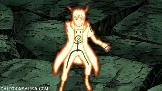 NARUTO SHIPPUDEN SHORTS