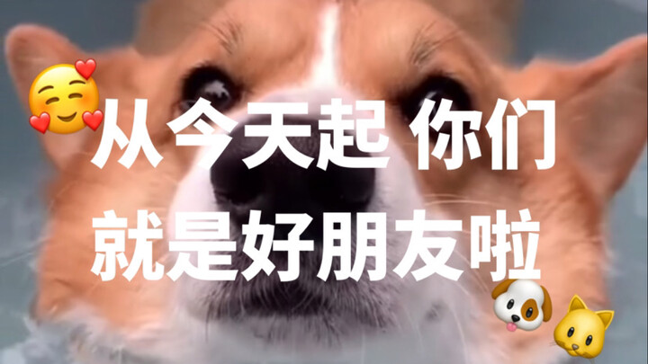 Từ hôm nay trở đi, các bạn chính thức là bạn thân nhé!