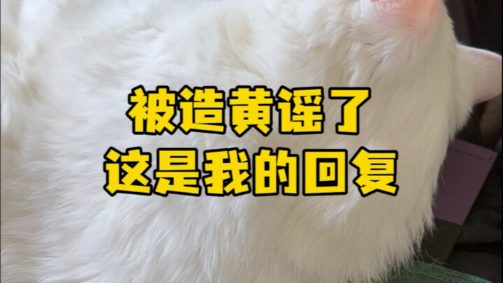 被造黄谣了 这是我的回复