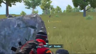 Montage P14