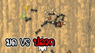 Pocket Ant #3 - เมื่อมดต้องสู้กับปลวก [CatZGamer] [เกมมือถือ]