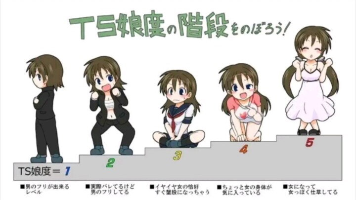 The Formation of a Transves*