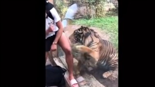 "سأأخذ منك 180 ثانية في لحظة!"