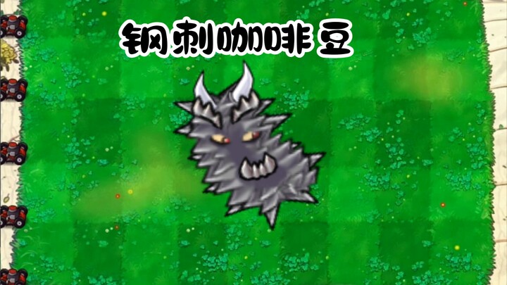 钢刺咖啡豆，有点像某种虫子