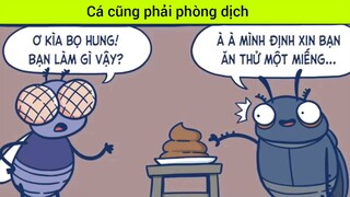 Cá cũng phải phòng dịch