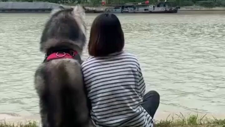 ไม่ว่าคุณจะทำอะไร ตราบใดที่คุณมีความสุข น้องหมาก็ยินดีอยู่เป็นเพื่อนคุณเสมอ!