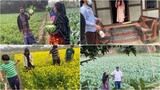 শশুর বাড়ী প্রথম দিন || Ms Bangladeshi Vlogs ll