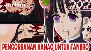 KANAO Berkorban Demi TANJIRO - Review Kimetsu No Yaiba Chapter 202