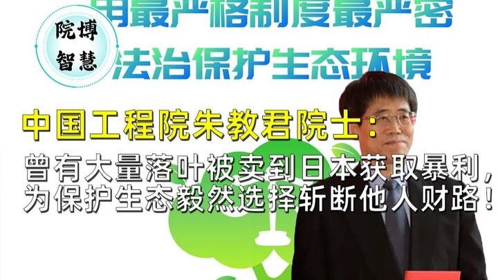 Academician Zhu Jiaojun of the Chinese Academy of Engineering: Massive fallen leaves were once sold 