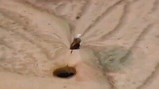 Is there freedom on the other side of the hole?