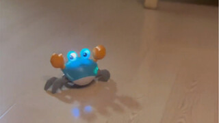 小侄子新玩具 他不爱玩只能我自己玩了。