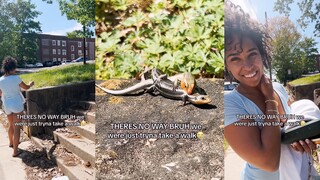 Spring has arrived, and all things are reviving—another dancing season for the animals!