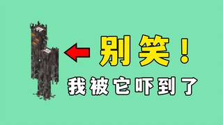 我的世界：别笑，我真被它吓到了
