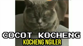 TIDUR TERLALU NYENYAK, SI KOCHENG SAMPAI NGILER 😂 | CHOCHOT KOCHENG