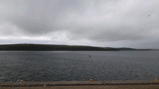 winter is coming#buhay marino