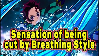 What is the feeling of being cut by Breathing Style? ｜Demon Slayer