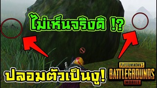 PUBG Mobile เนียนเป็นงูอย่างฮามองไม่เห็น